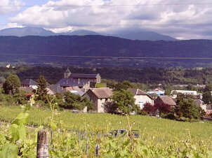 village d'Arbin et vignes