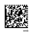 Flashcode site Michel Terrier